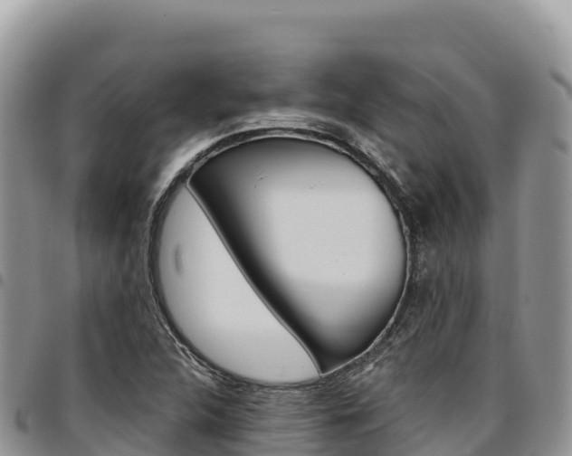 X0000097301312200802151113