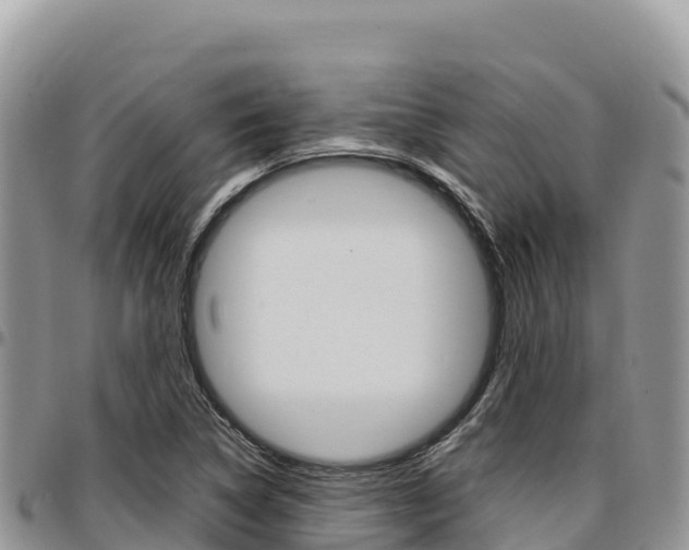 X0000097301314200802151113