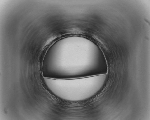 X0000097301315200802151113