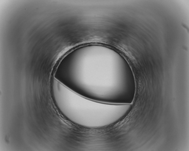 X0000097301316200802151113