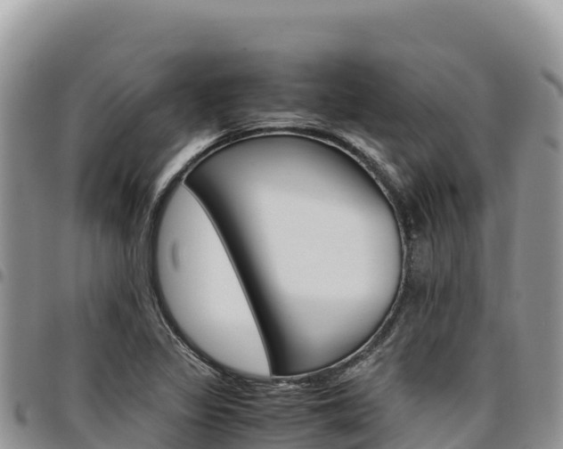 X0000097301317200802151113