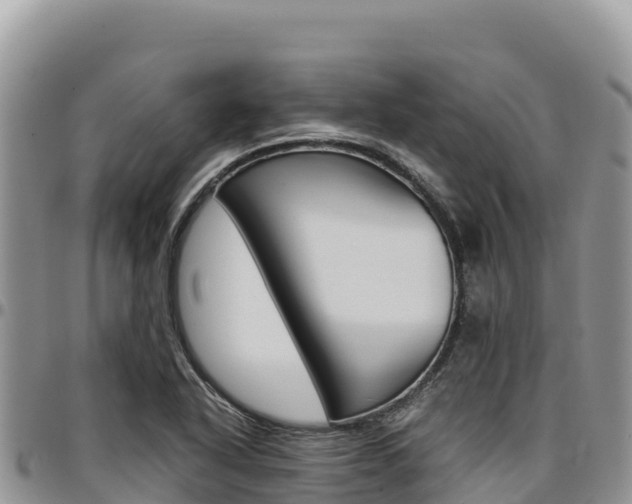 X0000097301318200802151113