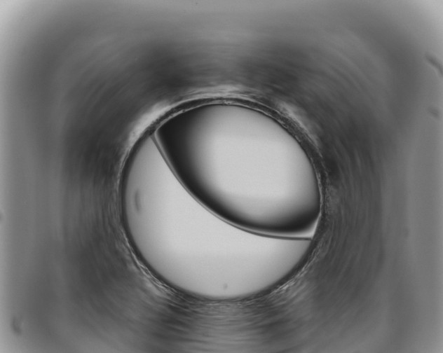 X0000097301320200802151113
