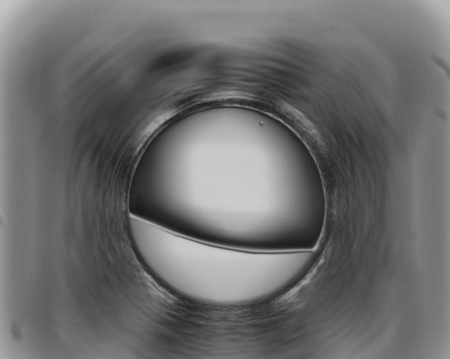 X0000097301321200802151113