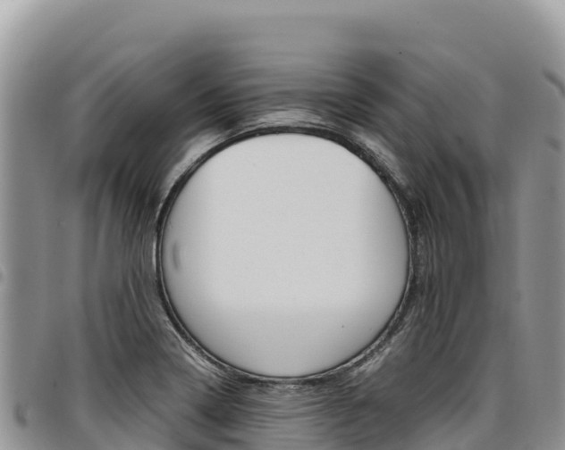 X0000097301322200802151113