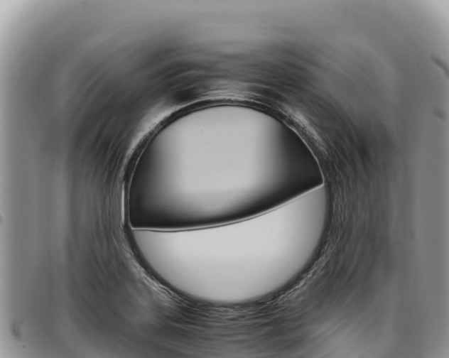 X0000097301323200802151113
