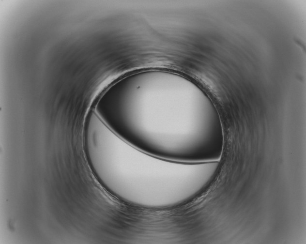X0000097301324200802151113