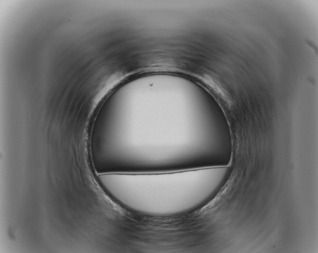 X0000097301325200802151113