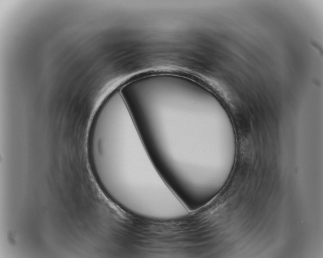 X0000097301327200802151113
