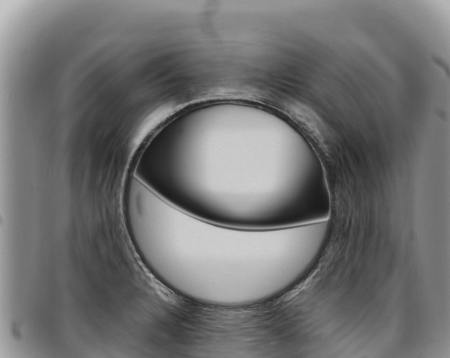 X0000097301328200802151113