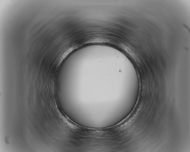 X0000097301329200802151113