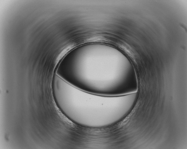 X0000097301330200802151113