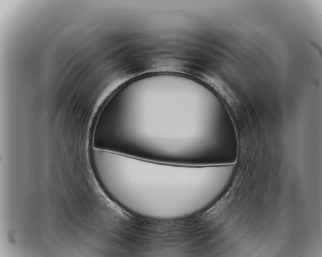 X0000097301331200802151113
