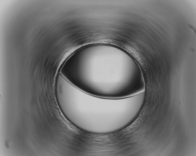 X0000097301332200802151113