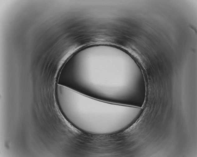 X0000097301333200802151113