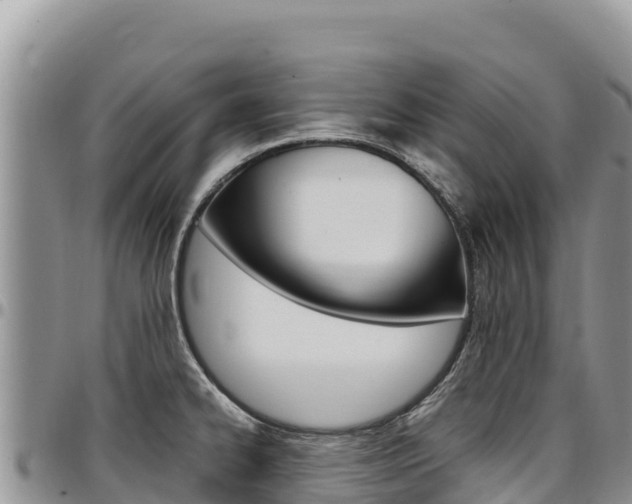 X0000097301334200802151113