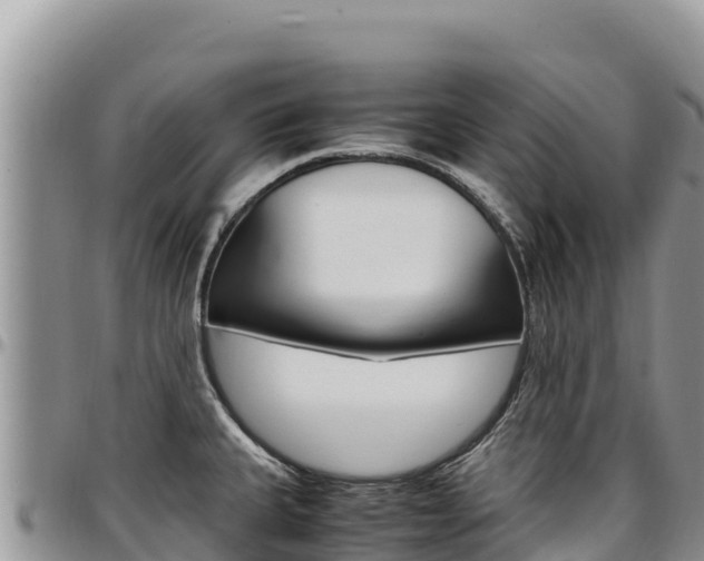 X0000097301335200802151113