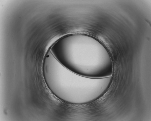 X0000097301336200802151113