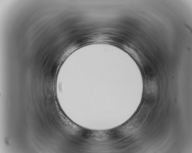 X0000097301338200802151113