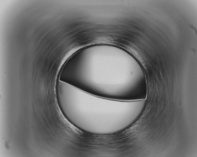 X0000097301339200802151113