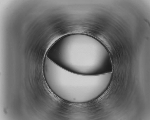 X0000097301340200802151113