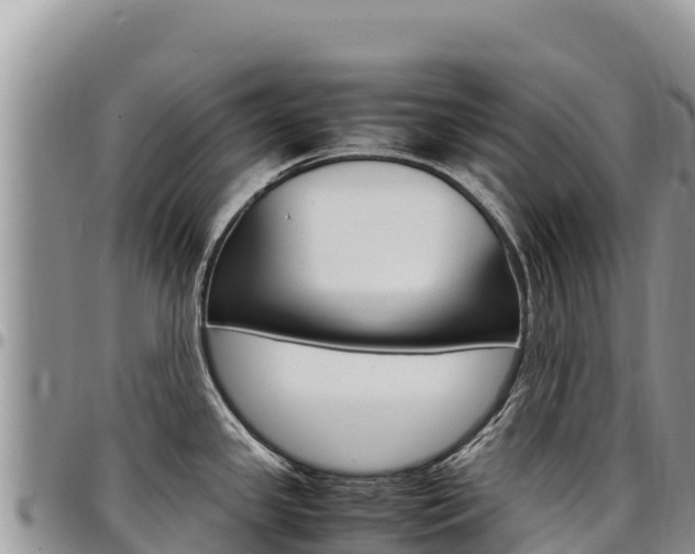 X0000097301341200802151113