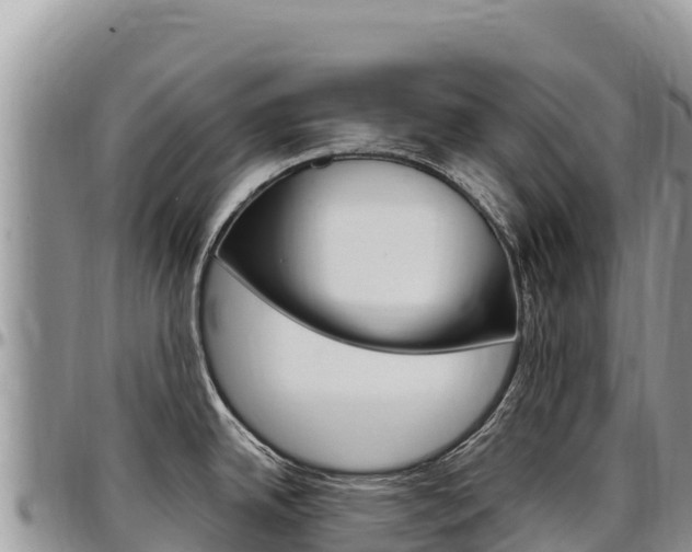 X0000097301342200802151113