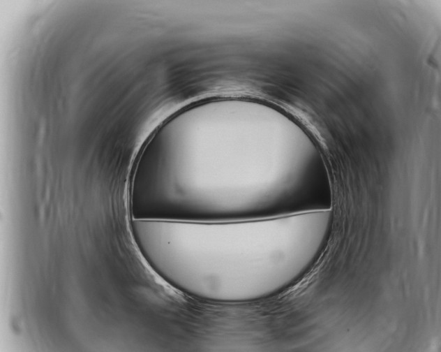 X0000097301343200802151113