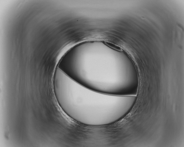 X0000097301344200802151113