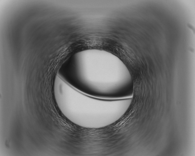 X0000097301345200802151113