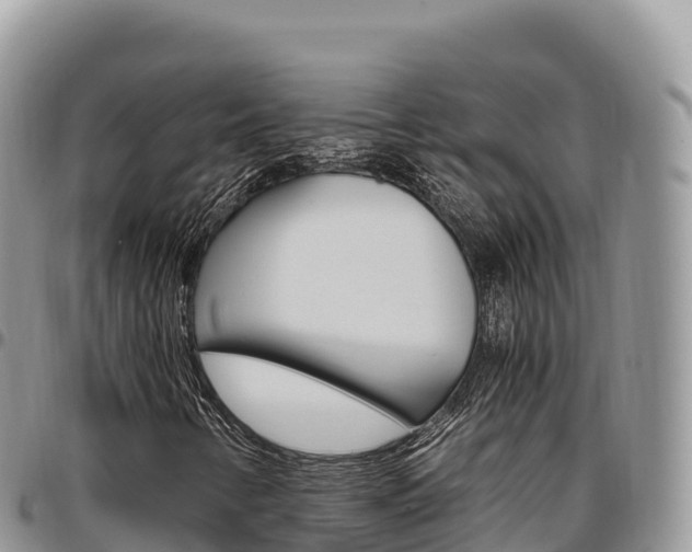X0000097301346200802151113