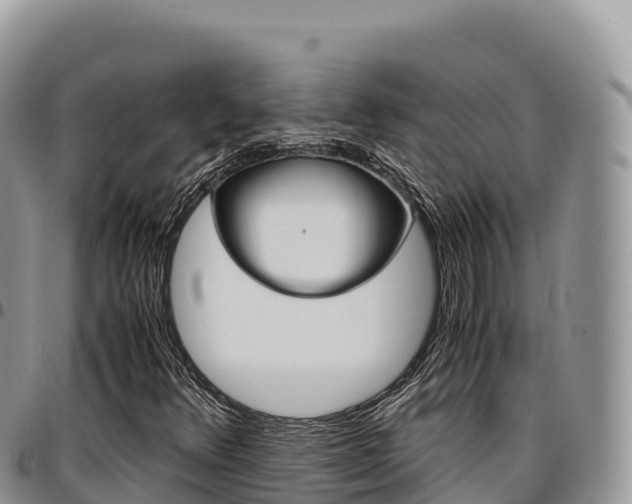 X0000097301348200802151112