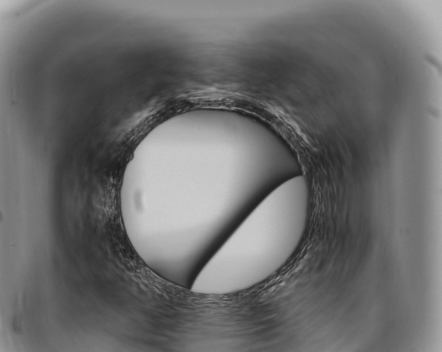 X0000097301350200802151112