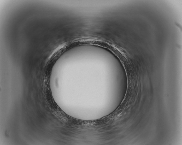 X0000097301351200802151112