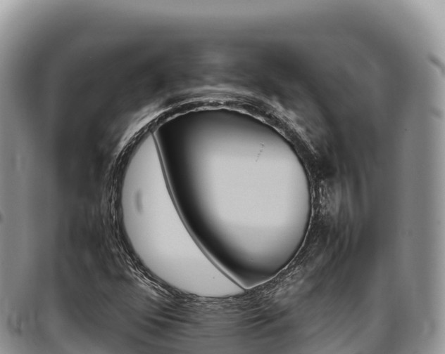X0000097301352200802151112