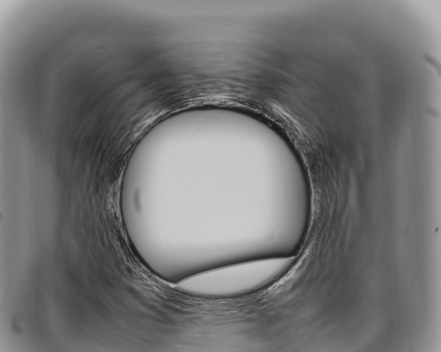 X0000097301353200802151112