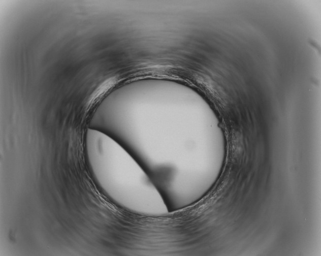 X0000097301354200802151112