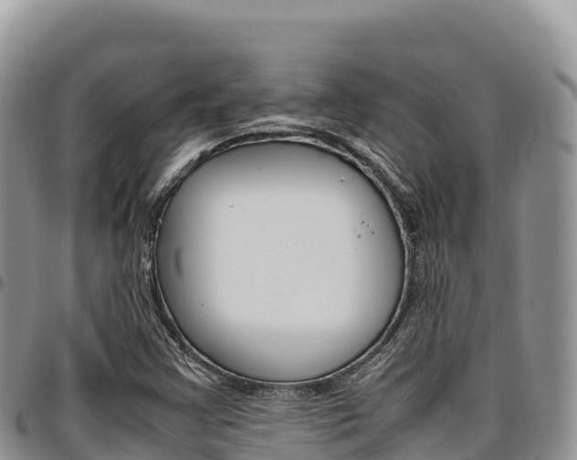 X0000097301355200802151112