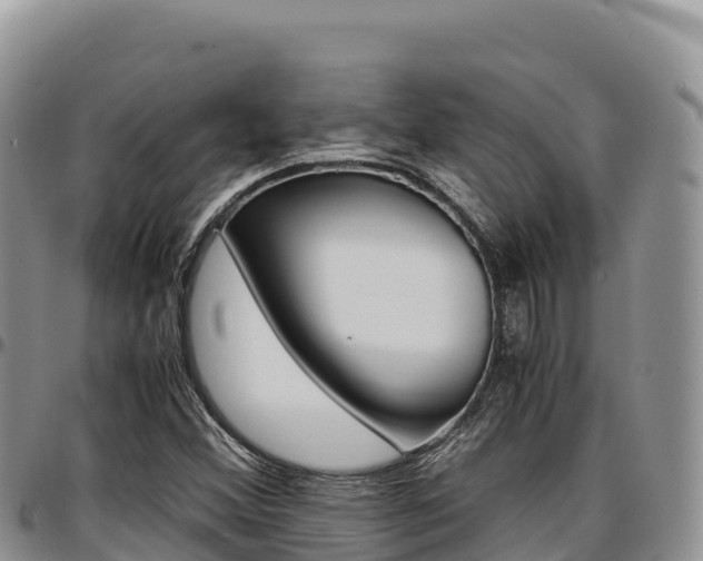 X0000097301356200802151112