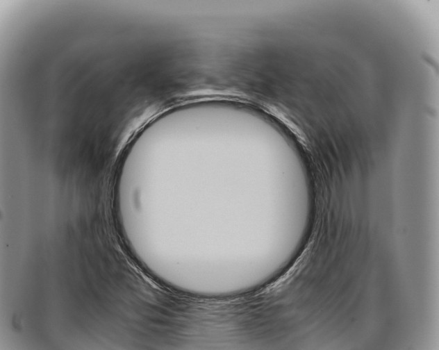 X0000097301357200802151112