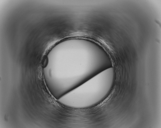 X0000097301358200802151112