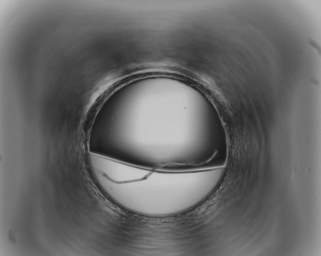 X0000097301360200802151112