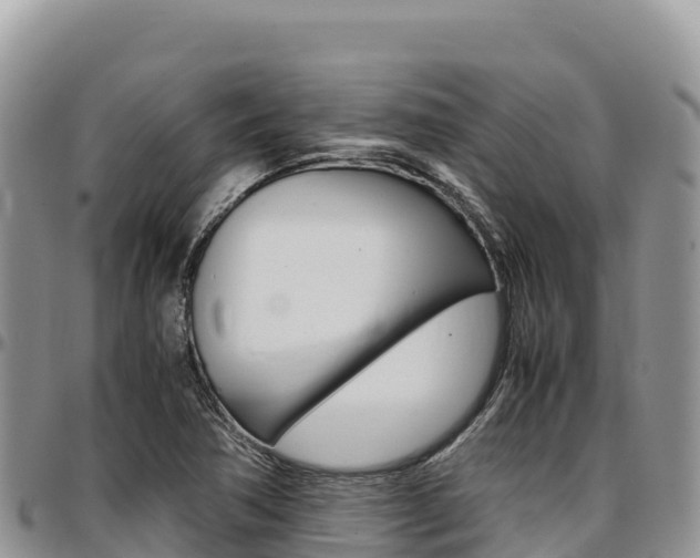 X0000097301362200802151112