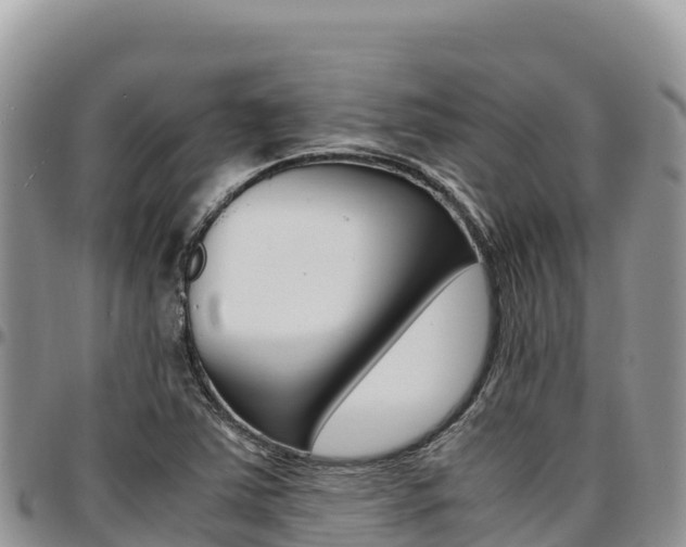 X0000097301363200802151112