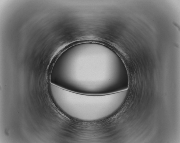 X0000097301364200802151112