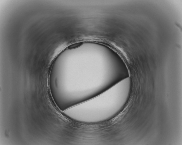 X0000097301365200802151112