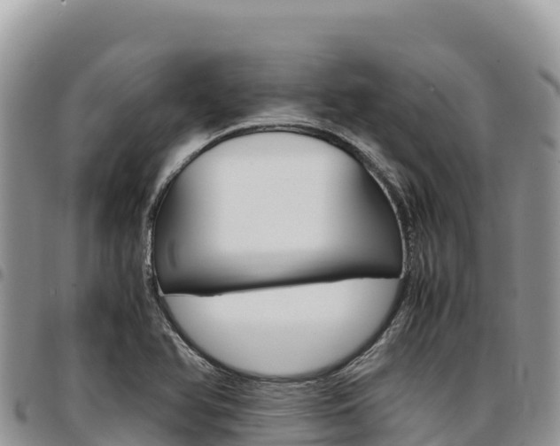 X0000097301366200802151112