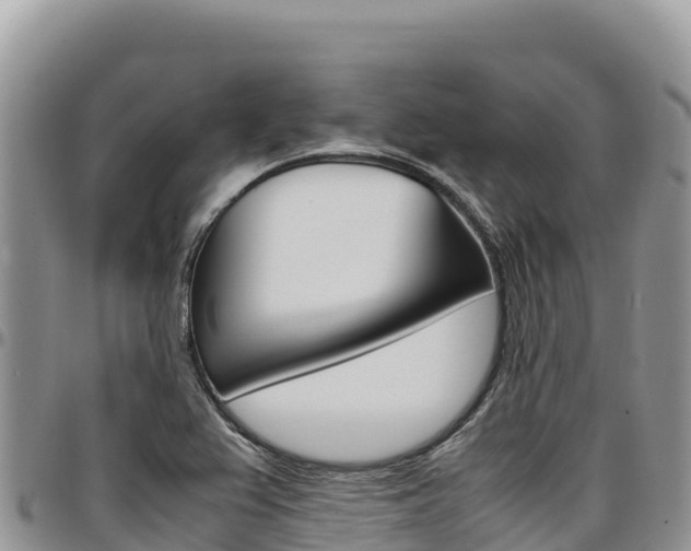 X0000097301367200802151112