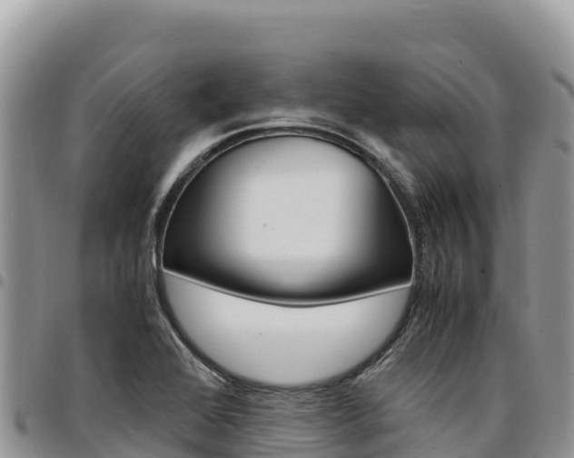 X0000097301368200802151112