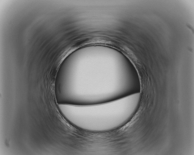 X0000097301369200802151112